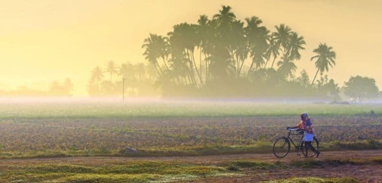 Real India  - Rural India