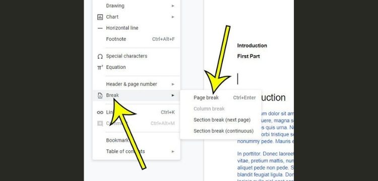 Image showing How to add a page in Google Docs