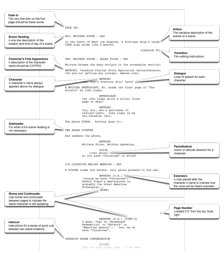 Script Writing Format