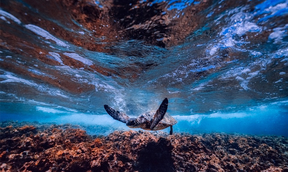 HowDeepIsTheOcean