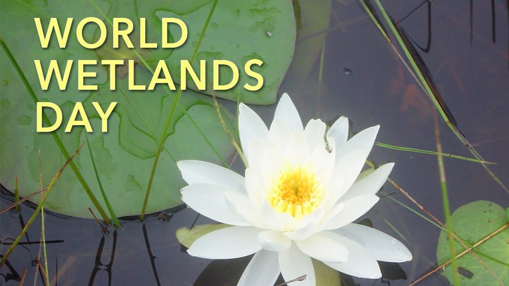 World Wetland Day