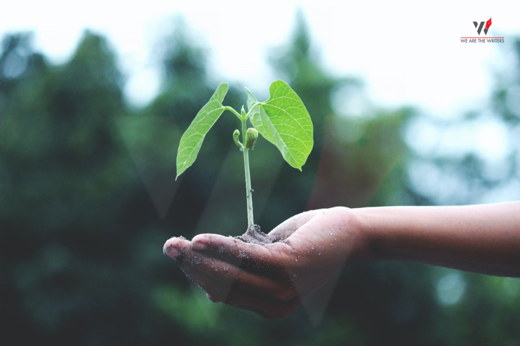World Environment Day
Important Days in June 2021
Important Days in June
Days in June
