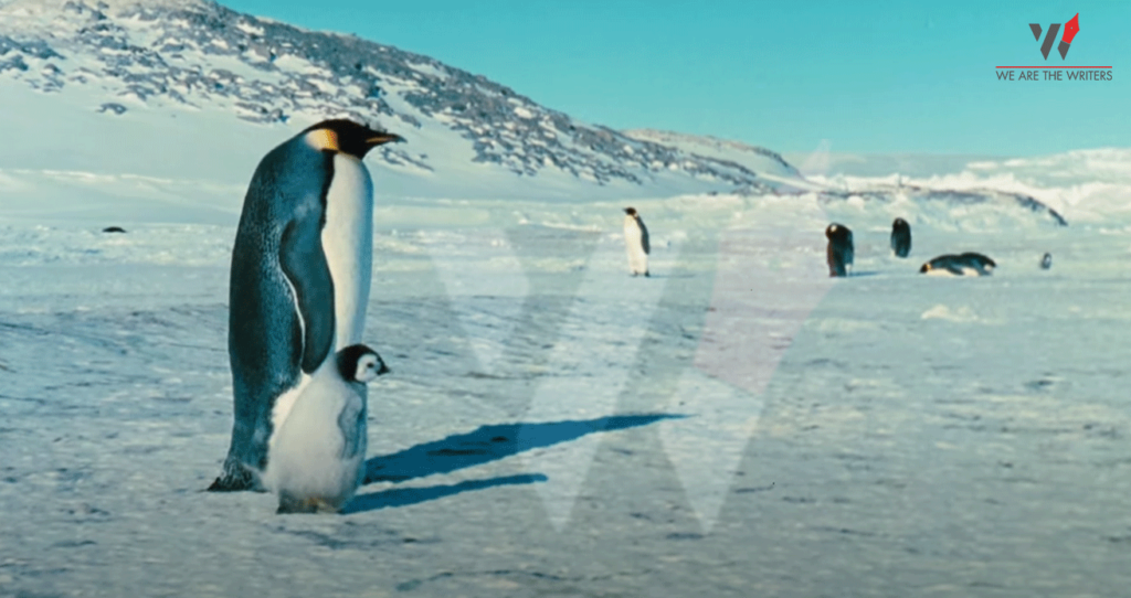 March Of The Penguins Best Documentaries