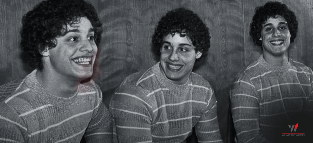 Three Identical Strangers Best Documentaries