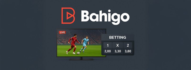 Discover online casino bahigo