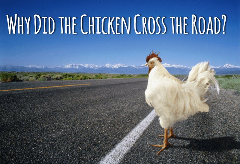 France - chicken road casino